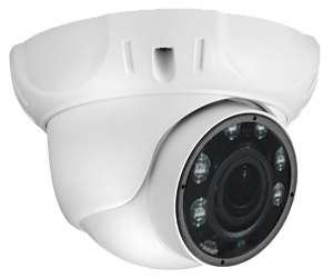 Dome IP Kamera