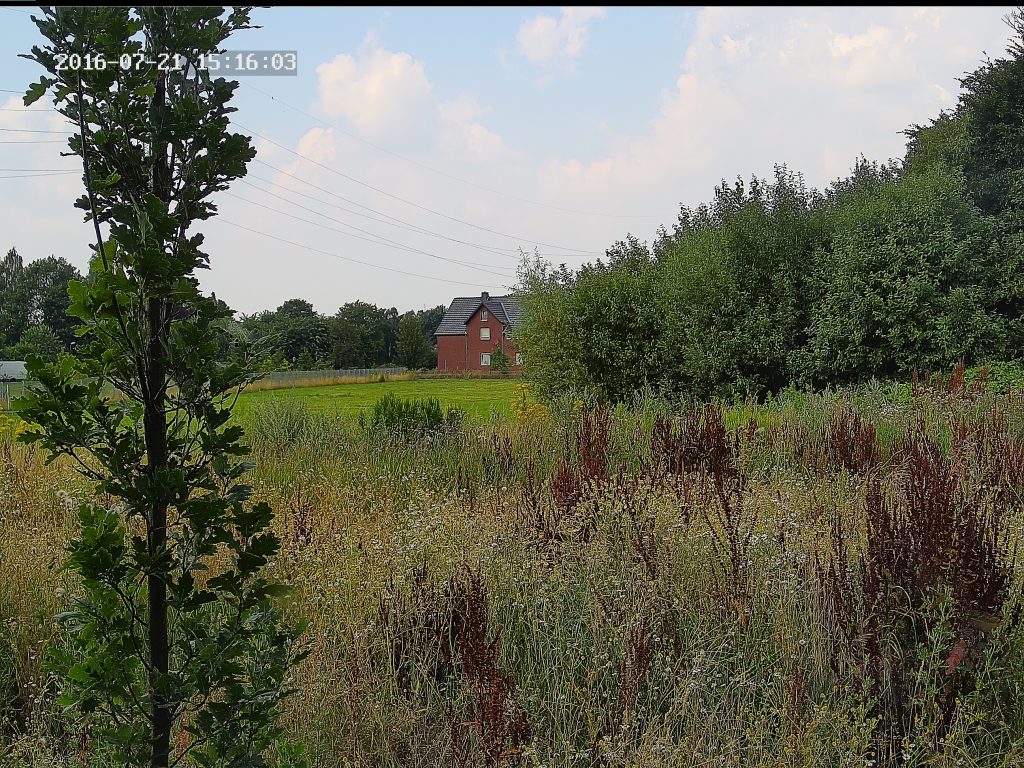 5 MP Screenshot
